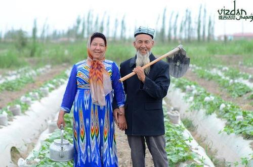 吃瓜社长,吃瓜社长的八卦风云录