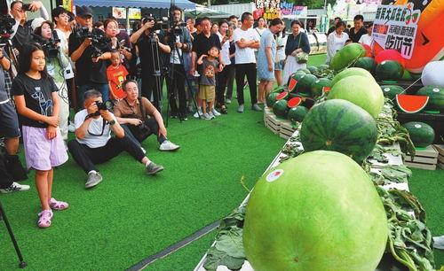 沈阳吃瓜,一网打尽的热门“吃瓜”攻略