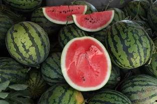 吃瓜钱,揭秘娱乐圈背后的经济秘密