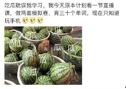 吃瓜室,一场全民参与的娱乐盛宴