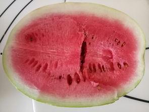 吃自家瓜,共享丰收喜悦