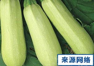 怀孕吃角瓜,角瓜助力健康孕育之旅