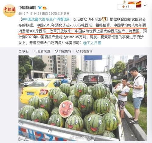 吃瓜种,揭秘娱乐圈背后的秘密与真相